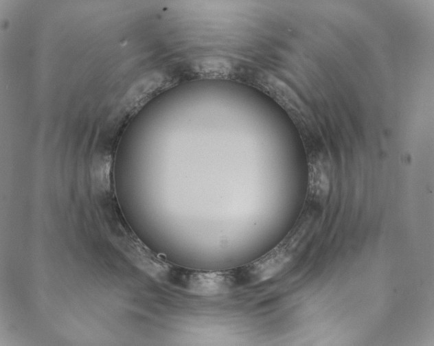 X0000089880717200706281350