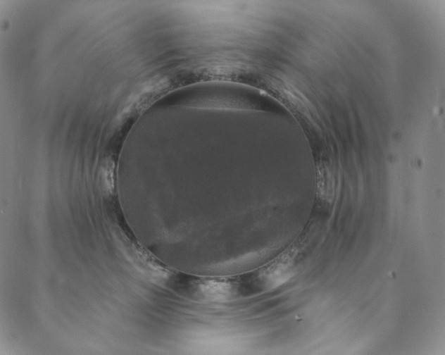 X0000089880718200706281349