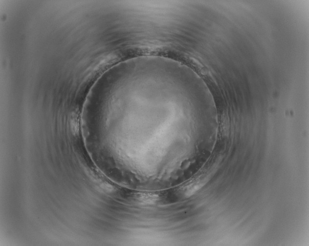 X0000089880719200706281349