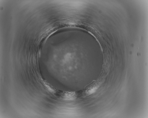 X0000089880720200706281349