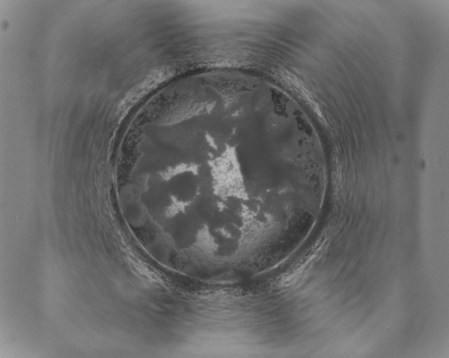 X0000089880721200706281349