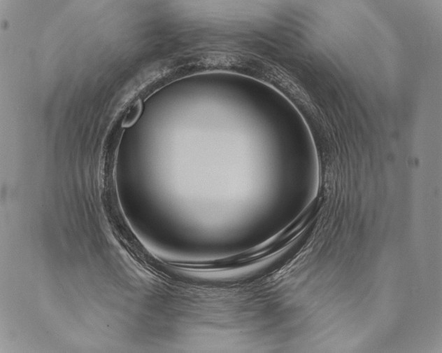 X0000089880722200706281349