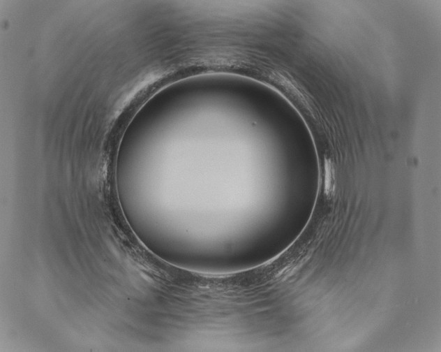 X0000089880723200706281349