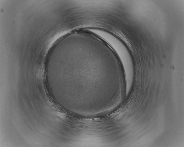 X0000089880724200706281349