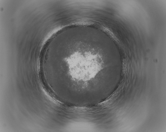 X0000089880726200706281349