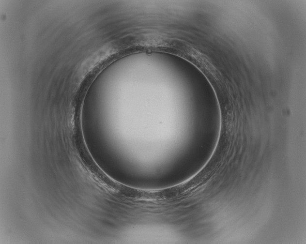 X0000089880727200706281349