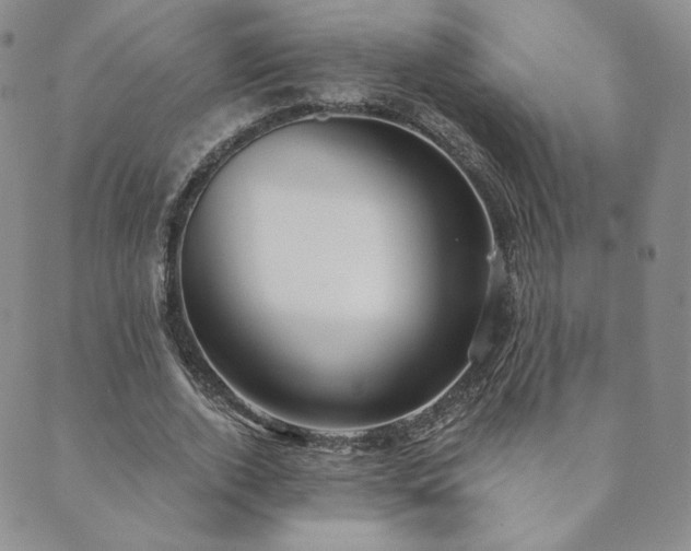 X0000089880728200706281349