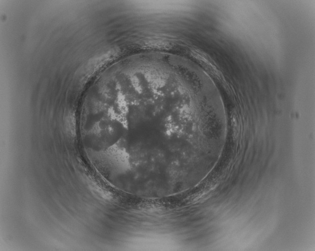 X0000089880729200706281349