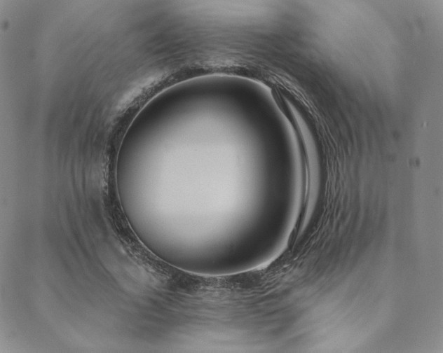 X0000089880732200706281349