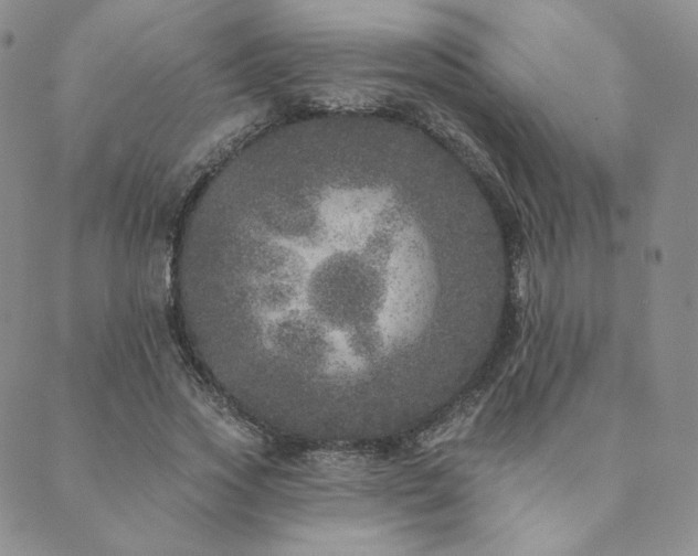 X0000089880733200706281349