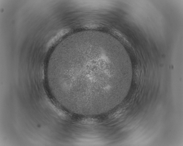 X0000089880734200706281349