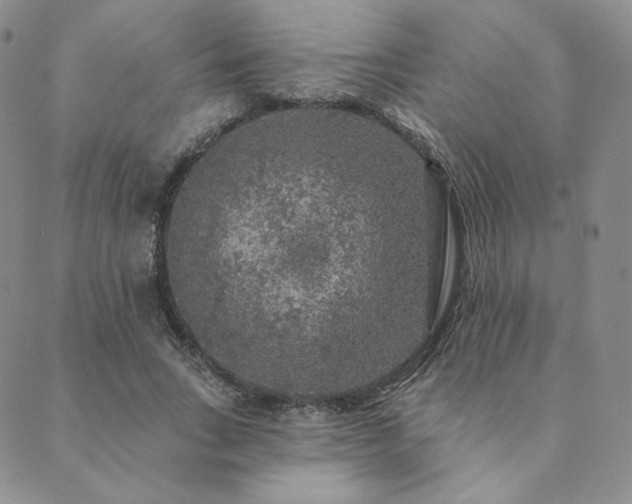 X0000089880735200706281349