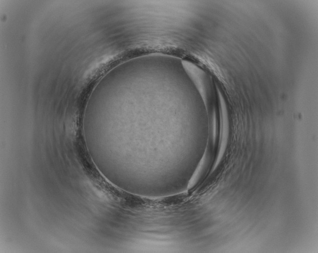 X0000089880736200706281349