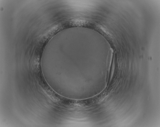 X0000089880737200706281349