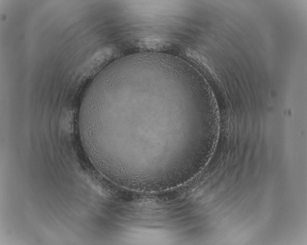 X0000089880738200706281349