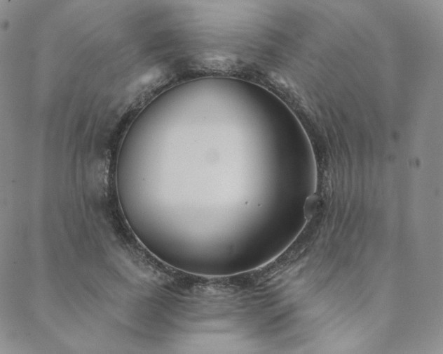 X0000089880739200706281349