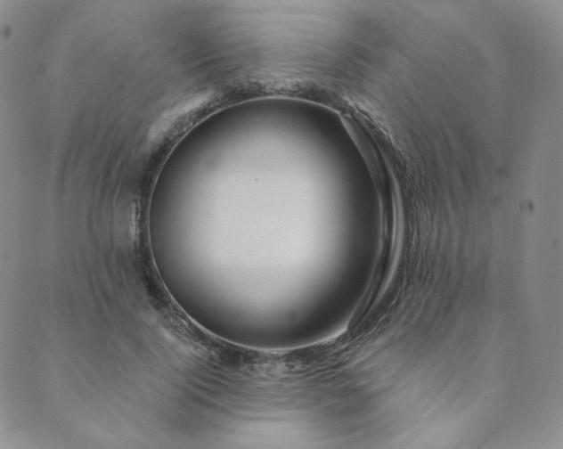 X0000089880740200706281349