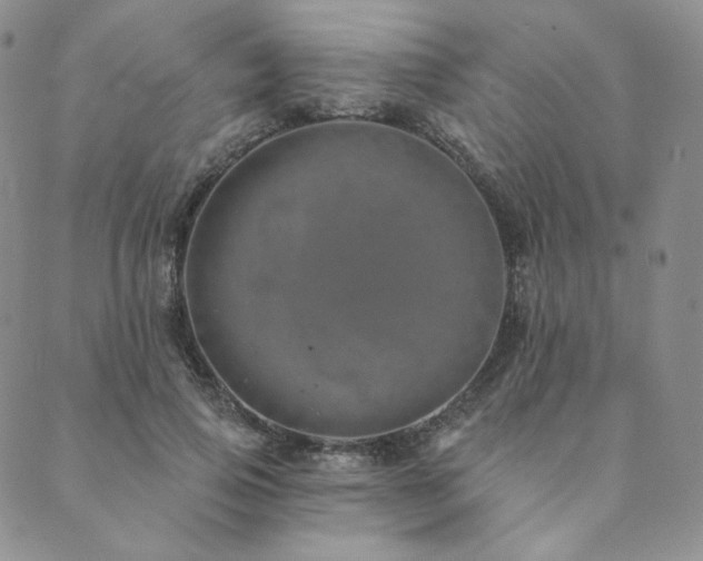 X0000089880741200706281349