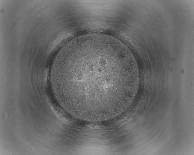 X0000089880742200706281349