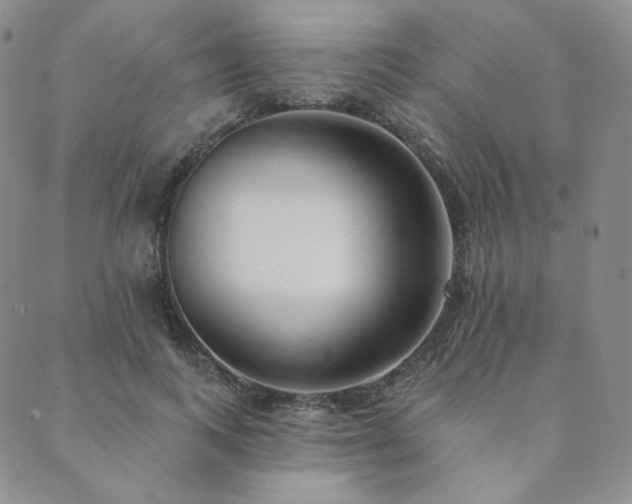 X0000089880743200706281349