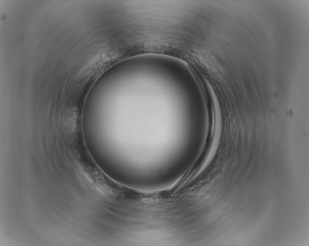 X0000089880744200706281349