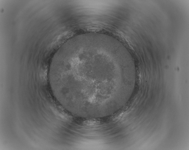 X0000089880745200706281349