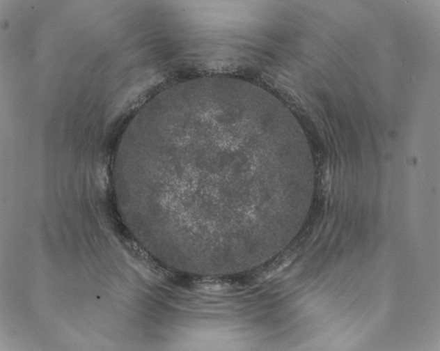 X0000089880746200706281349