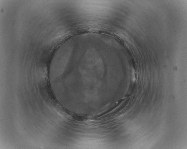 X0000089880748200706281349