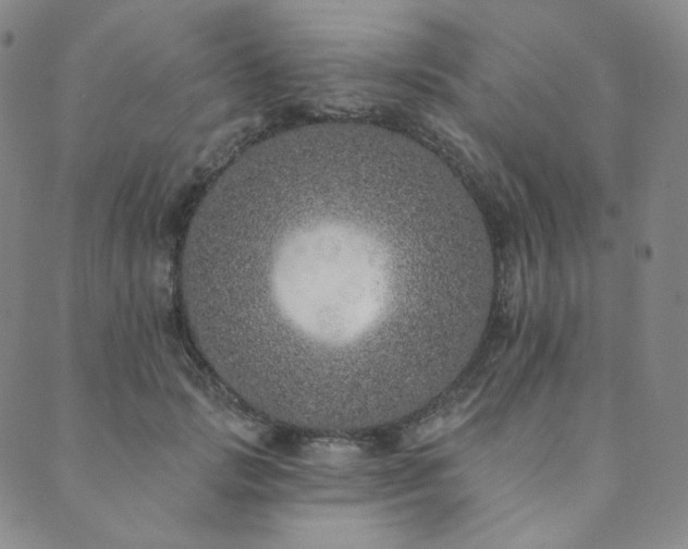 X0000089880749200706281349