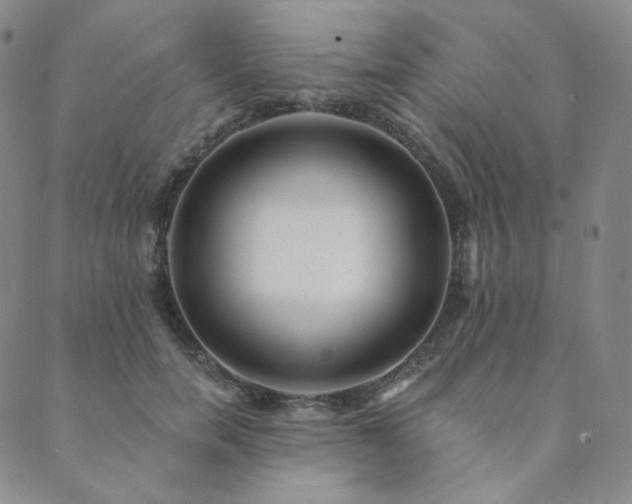 X0000089880750200706281349