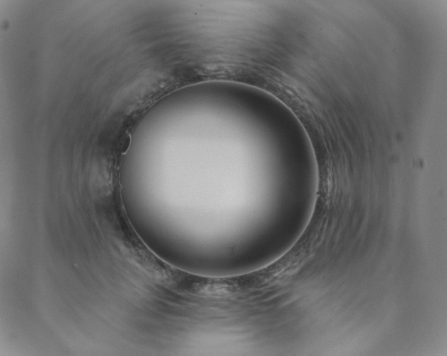 X0000089880751200706281349