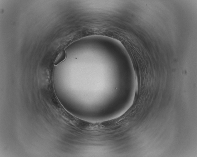 X0000089880752200706281349