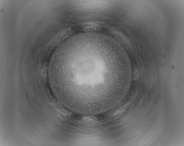 X0000089880753200706281349