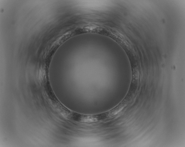 X0000089880754200706281349