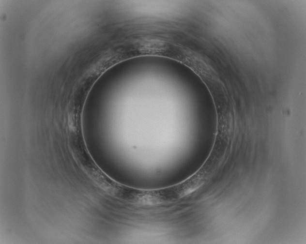 X0000089880755200706281349