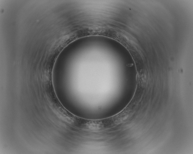 X0000089880756200706281349