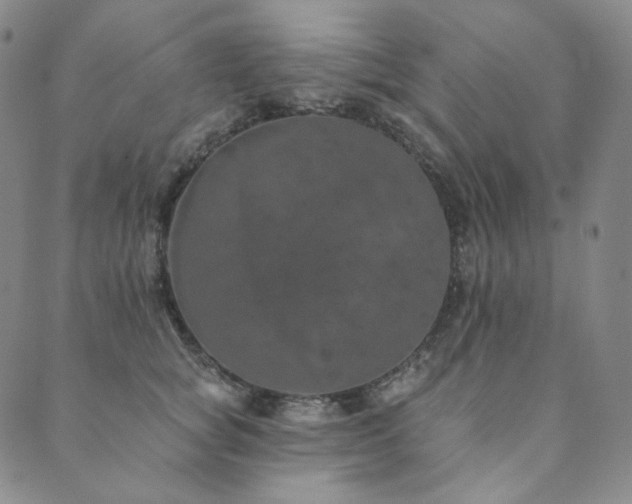 X0000089880757200706281349