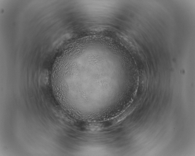 X0000089880758200706281349