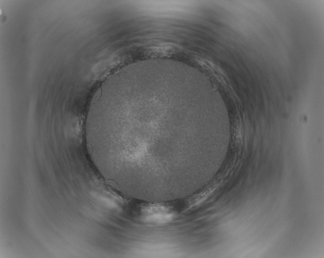 X0000089880759200706281349