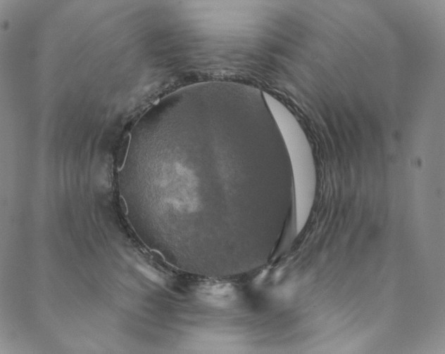 X0000089880760200706281349