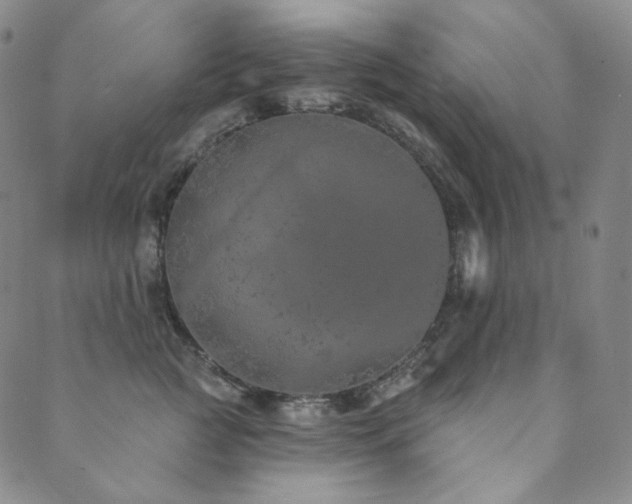 X0000089880761200706281349