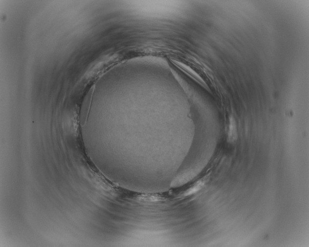 X0000089880762200706281349