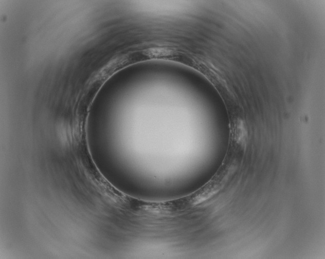 X0000089880763200706281349