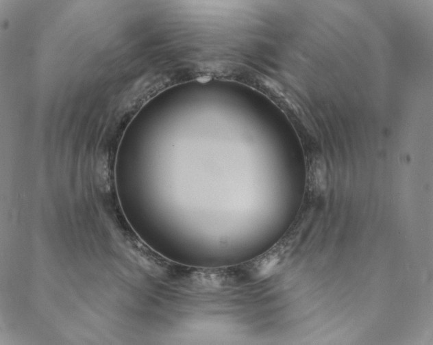 X0000089880764200706281349