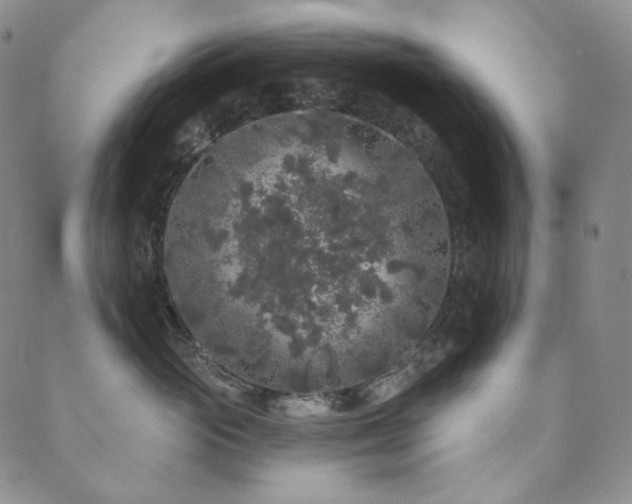 X0000089880765200706281349