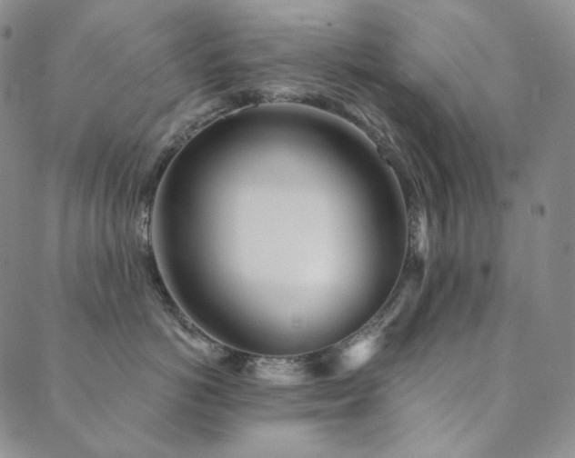 X0000089880766200706281349