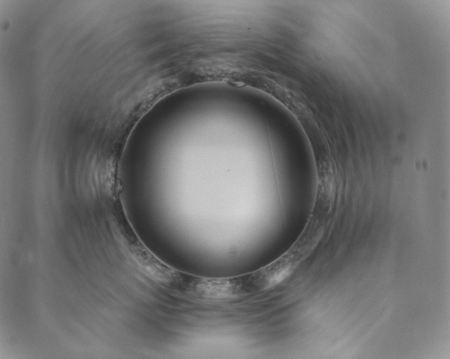 X0000089880767200706281349