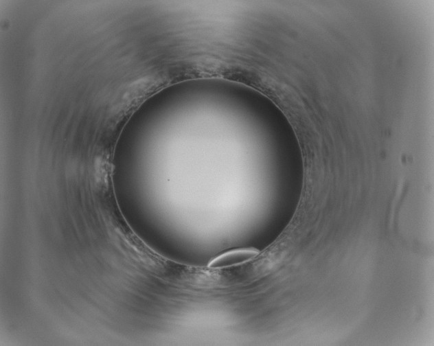 X0000089880768200706281349