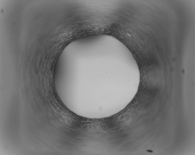 X0000089880769200706281349