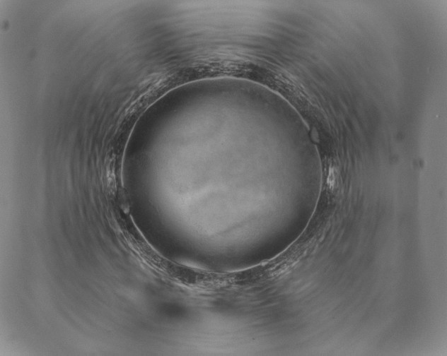 X0000089880771200706281349